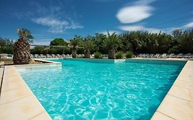 Joli Mazet Provençal de Camargue